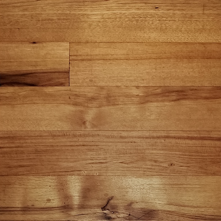 Hickory