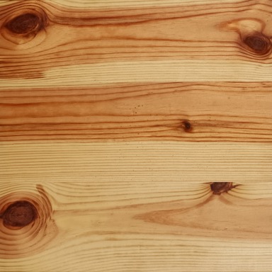 New Growth Pine Number 1