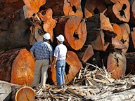 recliamed wood flooring thumbnail
