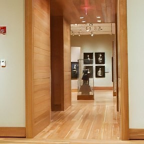  Rare Wood Showcase
