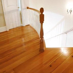  Rare Wood Showcase